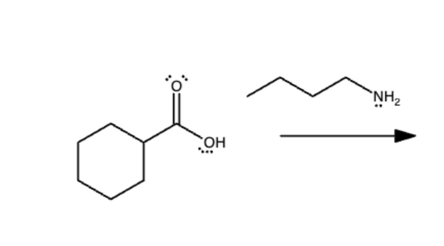 ΖΩΗ