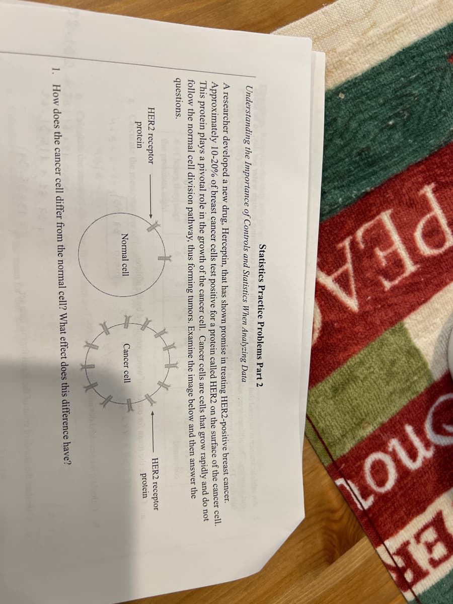 PEA
Statistics Practice Problems Part 2
Understanding the Importance of Controls and Statistics When Analyzing Data
HER2 receptor
protein
Calculate the
cancer.
A researcher developed a new drug, Herceptin, that has shown promise in treating HER2-positive breast
Approximately 10-20% of breast cancer cells test positive for a protein called HER2 on the surface of the cancer cell.
This protein plays a pivotal role in the growth of the cancer cell. Cancer cells are cells that grow rapidly and do not
follow the normal cell division pathway, thus forming tumors. Examine the image below and then answer the
questions.
Normal cell
not
ER
HER2 receptor
vd bournos sotsw to smo tot nhom ons protein
Cancer cell
1. How does the cancer cell differ from the normal cell? What effect does this difference have?