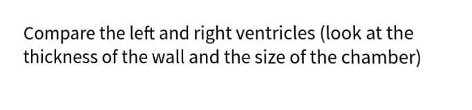 Compare the left and right ventricles (look at the
thickness of the wall and the size of the chamber)
