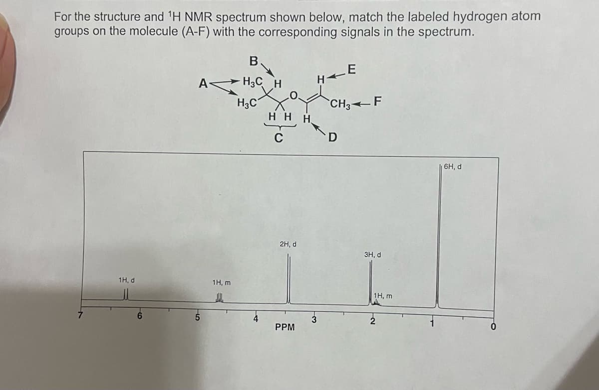 For the structure and ¹H NMR spectrum shown below, match the labeled hydrogen atom
groups on the molecule (A-F) with the corresponding signals in the spectrum.
1H, di
1H, m
B
H3C H
H3C
4
HHH
C
2H, d
PPM
H-
E
CH3F
D
3H, d
1H, m
2
16H, d
0