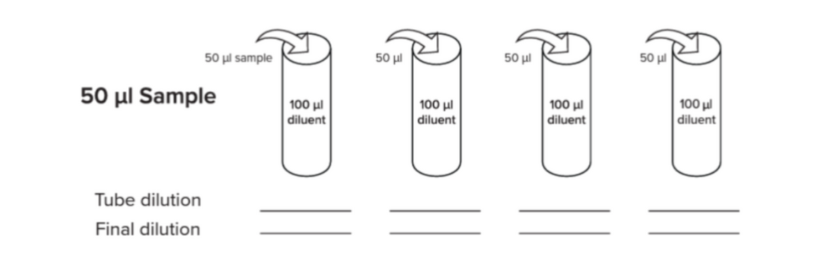 50 μl sample
50 μl Sample
Tube dilution
Final dilution
100 με
diluent
50 με
100 μl
diluent
50 μ.
100 μl
diluent
50 με
100 μl
diluent