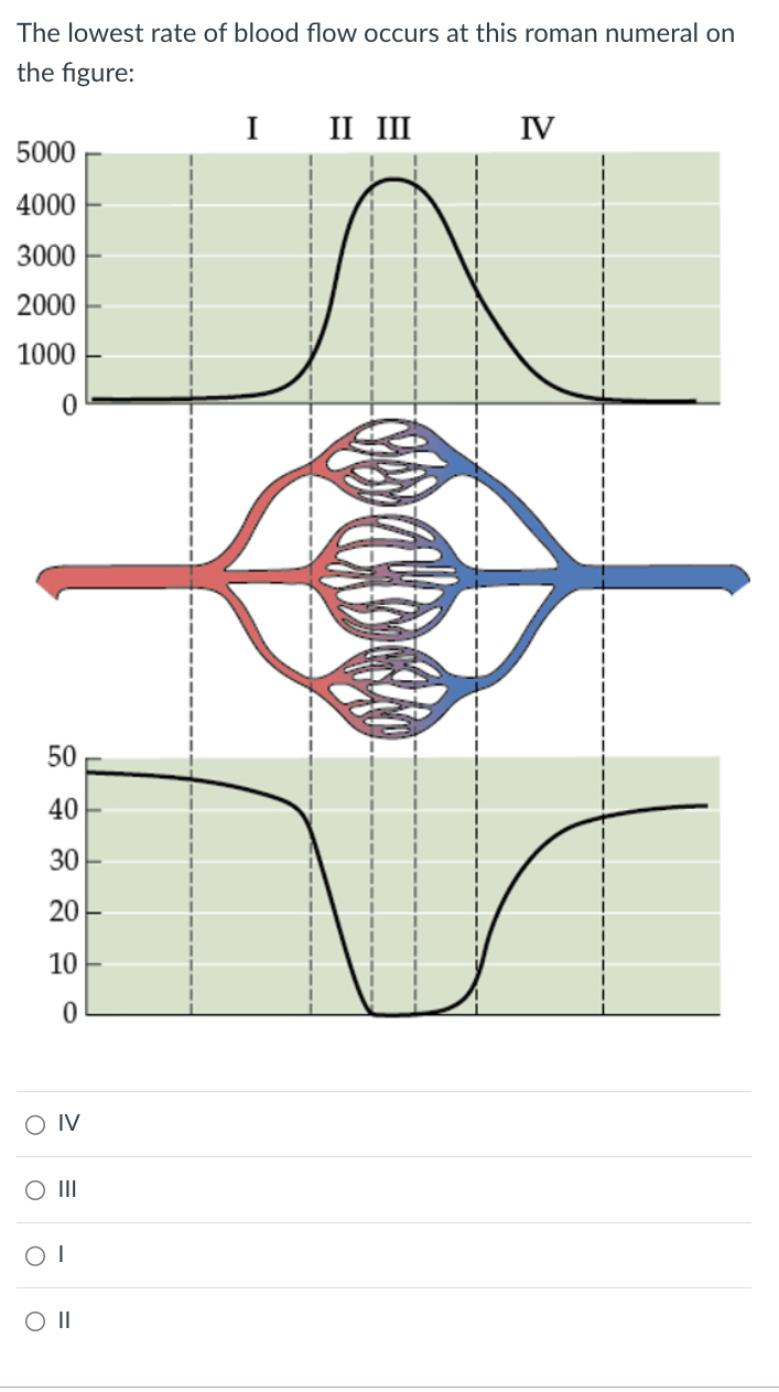 The lowest rate of blood flow occurs at this roman numeral on
the figure:
5000
4000
3000
2000
1000
0
50
40
30
20
10
O IV
○ III
O II
0
I
II III
IV
-------