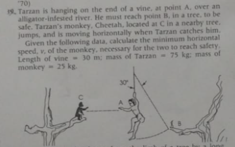 "70)
19. Tarzan is hanging on the end of a vine, at point A, over an
alligator-infested river. He must reach point B, in a tree, to be
safe. Tarzan's monkey, Cheetah, located at C in a nearby tree.
jumps, and is moving horizontally when Tarzan catches him.
Given the following data, calculate the minimum horizontal
speed, v, of the monkey, necessary for the two to reach safety.
Length of vine 30 m; mass of Tarzan 75 kg: mass of
monkey= 25 kg.
C
30
oph
A
In