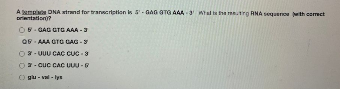 A template DNA strand for transcription is 5' - GAG GTG AAA - 3' What is the resulting RNA sequence (with correct
orientation)?
O 5'- GAG GTG AAA - 3'
Q5' - AAA GTG GAG - 3'
3' - UUU CAC CỤC - 3'
3' - CUC CAC UUU - 5'
O glu - val - lys
