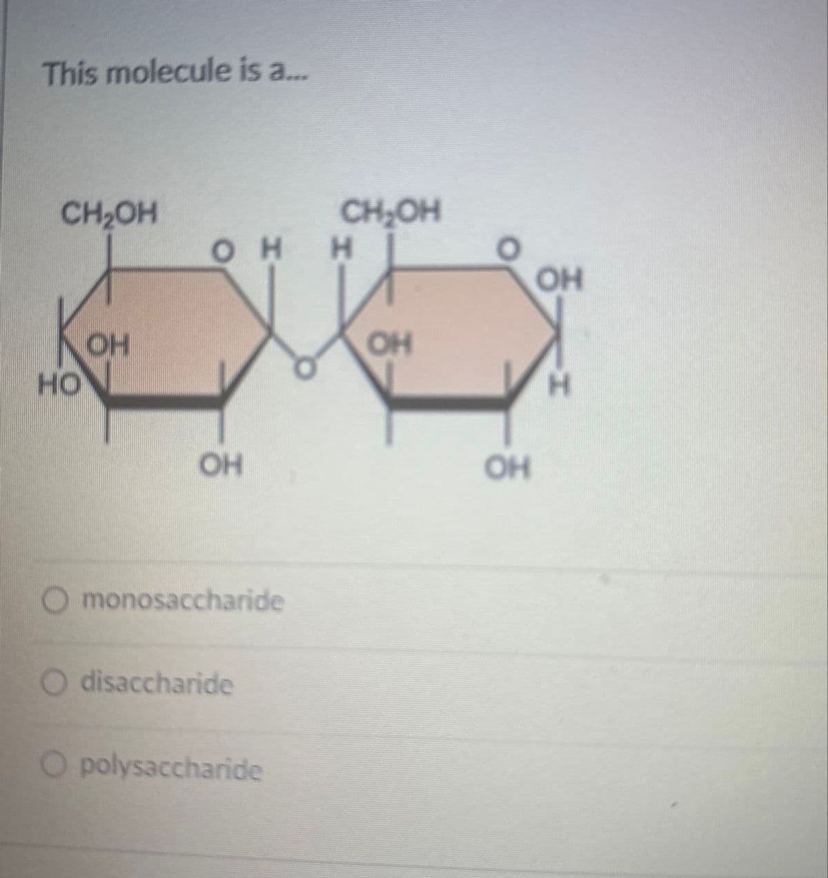 This molecule is a...
CH₂OH
HO
OH
OHH
OH
monosaccharide
O disaccharide
O polysaccharide
CH₂OH
OH
HO
OH
OH