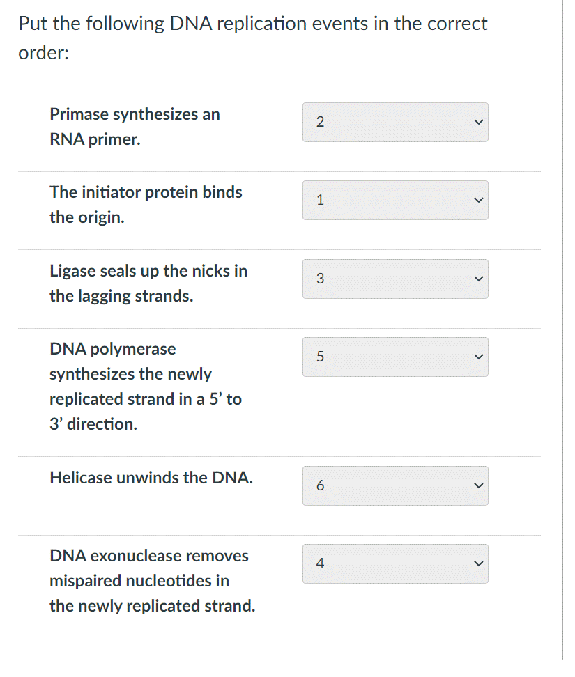 Put the following DNA replication events in the correct
order:
Primase synthesizes an
RNA primer.
The initiator protein binds
the origin.
Ligase seals up the nicks in
the lagging strands.
DNA polymerase
synthesizes the newly
replicated strand in a 5' to
3' direction.
Helicase unwinds the DNA.
DNA exonuclease removes
mispaired nucleotides in
the newly replicated strand.
2
1
3
5
6
4