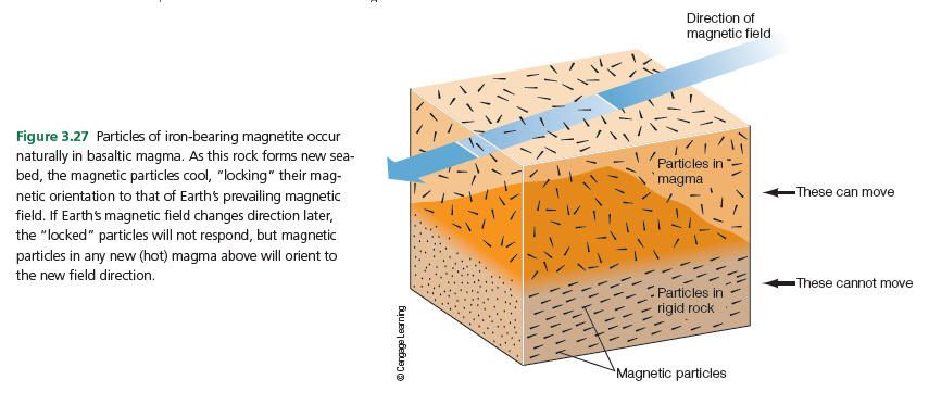 Direction of
magnetic field
Figure 3.27 Particles of iron-bearing magnetite occur
naturally in basaltic magma. As this rock forms new sea-
bed, the magnetic particles cool, "locking" their mag-
netic orientation to that of Earths prevailing magnetic
field. If Earths magnetic field changes direction later,
the "locked" particles will not respond, but magnetic
Particles in
magma
-These can move
particles in any new (hot) magma above will orient to
the new field direction.
-These cannot move
Particles in
rigid rock
Magnetic particles
Cengage Learning
