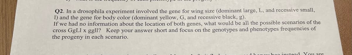 Q2. In a drosophila experiment involved the gene for wing size (dominant large, L, and recessive small,
1) and the gene for body color (dominant yellow, G, and recessive black, g).
If we had no information about the location of both genes, what would be all the possible scenarios of the
cross GgLl x ggll? Keep your answer short and focus on the genotypes and phenotypes frequencies of
the progeny in each scenario.
instead You are