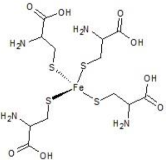 он
H2N
H2N
он
он
Fe
H2N.
H2N
он
