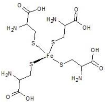 но
OH
H2N
он
H2N
он
Fe
O.
H2N.
H2N
он
