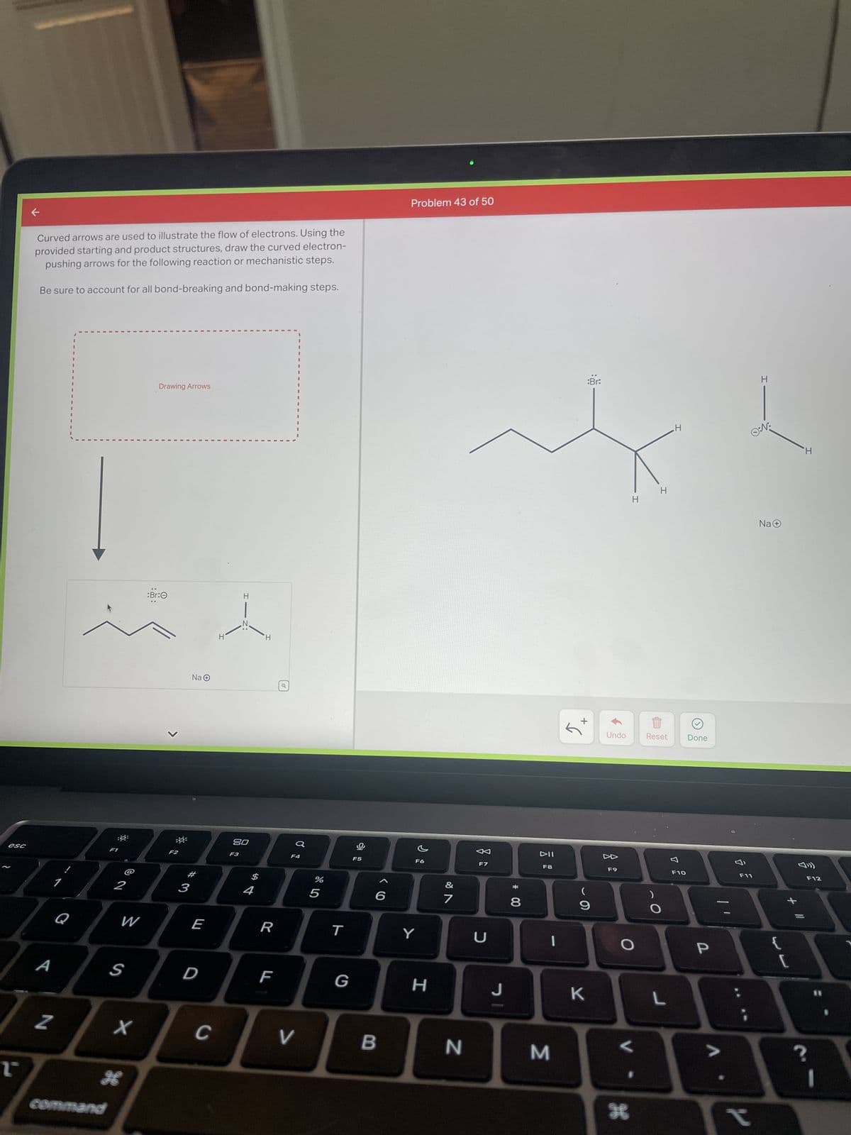 esc
2°
Curved arrows are used to illustrate the flow of electrons. Using the
provided starting and product structures, draw the curved electron-
pushing arrows for the following reaction or mechanistic steps.
Be sure to account for all bond-breaking and bond-making steps.
A
Z
Q
1
I
I
2
7
command
W
S
X
Drawing Arrows
:Br:
>
F2
Na Ⓒ
# 3
E
D
C
н'
H
20
F3
4
R
F
a
F4
V
%
5
T
G
F5
6
B
Problem 43 of 50
F6
Y
H
&
7
N
F7
U
J
* 00
8
DII
F8
|
M
:Br:
+
9
K
Undo
8
F9
I
O
L
H
I
Reset
O
L
H
F10
Done
P
Ⓒ:N:
F11
I
✓
Na+
{
(
H
F12
11