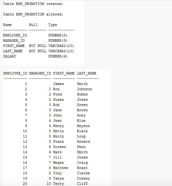 Table EMP PROMOTION created.
Table EMP PROMOTION altered.
Name
Null
Туре
EMPLOYEE_ID
NUMBER (5)
MANAGER_ID
NUMBER (5)
FIRST NAME NOT NULL VARCHAR2 (10)
LAST_NAME
NOT NULL VARCHAR2 (10)
SALARY
NUMBER (6)
EMPLOYEE ID MANAGER_ID FIRST_NAME LAST_NAME
James
Smith
2
1 Ron
Johnson
3
2 Fred
Hobbs
4
2 Susan
Jones
5
3 Rob
Green
6.
3 Jane
Brown
7
3 John
Grey
8
4 Jean
Blue
4 Henry
Неузоn
10
5 Kevin
Black
5 Keith
5 Frank
11
Long
12
Howard
13
6 Doreen
Penn
14
6 Mark
Smith
7 Jill
7 Megan
8 Matthew
8 Tony
8 Tanya
15
Jones
16
Craig
17
Brant
18
Clerke
19
Conway
20
10 Terry
Cliff
