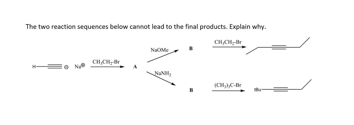 The two reaction sequences below cannot lead to the final products. Explain why.
H
NaⒸ
CH3CH₂-Br
NaOMe
NaNH,
B
B
CH3CH₂-Br
(CH3)3C-Br
tBu-