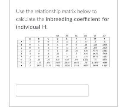 Use the relationship matrix below to
calculate the inbreeding coefficient for
individual H.
A5UO
B
C
D
E
F
G
H
X
A
1
0
O
5
5
S
S
5
5
0
1
0
5
0
0
25
125
1875
C
0
0
1
0
5
5
25
375
3125
AB
D
5
S
0
1
25
625
4375
5313
AC
E
5
0
S
25
1
S
625
5625
5938
AC
F
5
0
S
25
5
1
DE
G
5
25
25
625
625
GF
H
5
125
375
4375
5625
375
6875
375
1.125
75
6875
35
11875
5313 9375 9688
GH
X
5
1875
3125
5313
5938
5313
9375
9688
1.375