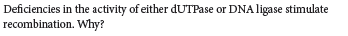 Deficiencies in the activity of either dUTPase or DNA ligase stimulate
recombination. Why?
