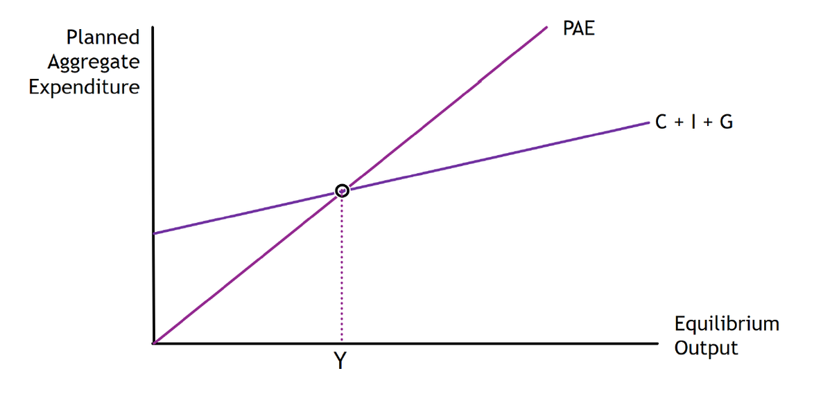 Planned
Aggregate
Expenditure
Y
PAE
C + I + G
Equilibrium
Output