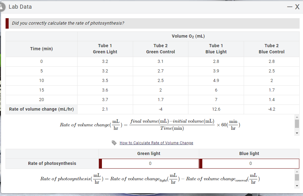 Lab Data
Did you correctly calculate the rate of photosynthesis?
Time (min)
0
5
10
15
20
Rate of volume change (mL/hr)
Rate of photosynthesis
Tube 1
Green Light
Rate of photosynthesis(
3.2
3.2
3.5
3.6
3.7
Rate of volume change(
2.1
Tube 2
Green Control
3.1
2.7
0
2.5
2
1.7
Volume O2 (mL)
-4
How to Calculate Rate of Volume Change
Green light
Tube 1
Blue Light
mL
mL
-) = Rate of volume change lighth
2.8
3.9
mL final volume(mL)-initial volume(mL)
hr
Time(min)
4.9
6
7
12.6
x 60(
min
hr
Blue light
0
mL
Tube 2
Blue Control
Rate of volume change covered-
2.8
2.5
2
1.7
1.4
-4.2
- X