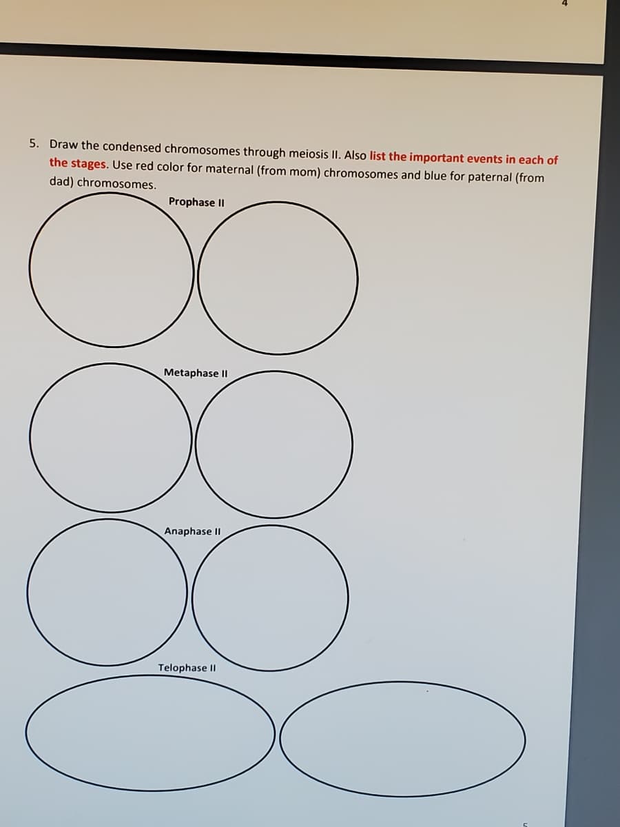 5. Draw the condensed chromosomes through meiosis II. Also list the important events in each of
the stages. Use red color for maternal (from mom) chromosomes and blue for paternal (from
dad) chromosomes.
Prophase II
Metaphase II
Anaphase II
Telophase II
