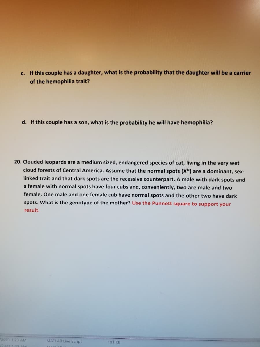 c. If this couple has a daughter, what is the probability that the daughter will be a carrier
of the hemophilia trait?
d. If this couple has a son, what is the probability he will have hemophilia?
20. Clouded leopards are a medium sized, endangered species of cat, living in the very wet
cloud forests of Central America. Assume that the normal spots (XN) are a dominant, sex-
linked trait and that dark spots are the recessive counterpart. A male with dark spots and
a female with normal spots have four cubs and, conveniently, two are male and two
female. One male and one female cub have normal spots and the other two have dark
spots. What is the genotype of the mother? Use the Punnett square to support your
result.
2021 1:23 AM
MATLAB Live Script
181 KB
12021 1:22 OM
