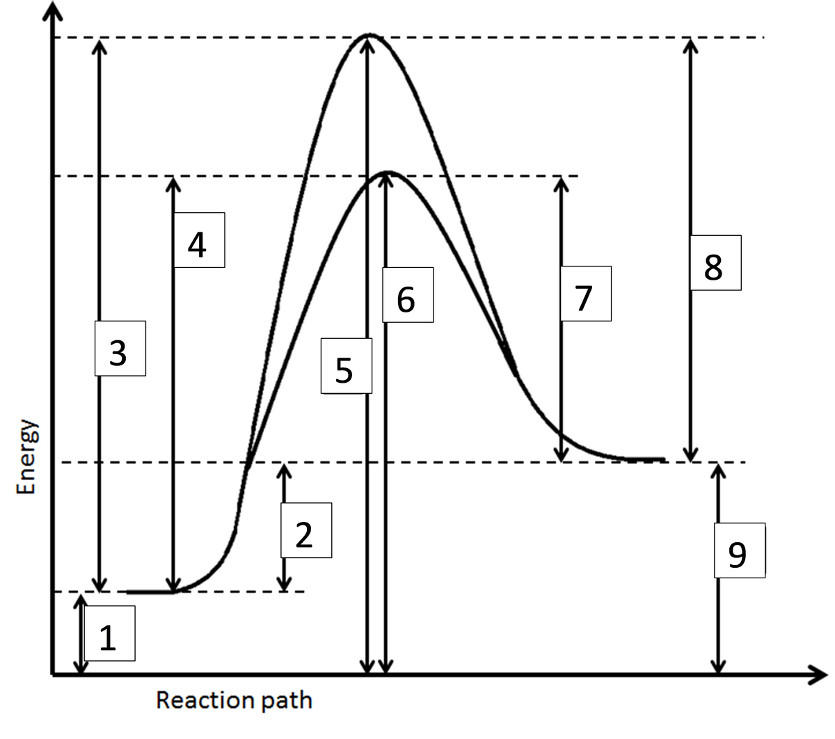 Energy
I
I
3
业
1
不
4
I
I
2
Reaction path
5
6
I
I
7
8
9