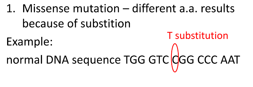 1. Missense mutation - different a.a. results
because of substition
T substitution
Example:
normal DNA sequence TGG GTC CGG CCC AAT
GTC CGG