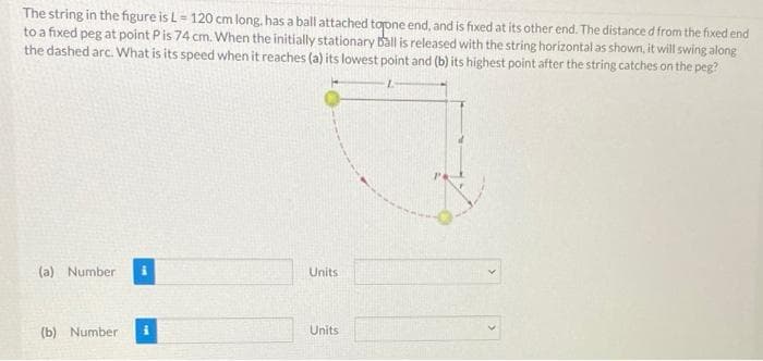 The string in the figure is L- 120 cm long, has a ball attached topne end, and is fixed at its other end. The distance d from the fixed end
to a fixed peg at point Pis 74 cm. When the initially stationary Ball is released with the string horizontal as shown, it will swing along
the dashed arc. What is its speed when it reaches (a) its lowest point and (b) its highest point after the string catches on the peg?
(a) Number
Units
(b) Number
Units
