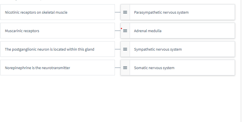 Nicotinic receptors on skeletal muscle
Muscarinic receptors
The postganglionic neuron is located within this gland
Norepinephrine is the neurotransmitter
III
Parasympathetic nervous system
Adrenal medulla
Sympathetic nervous system
Somatic nervous system