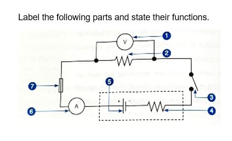 Label the following parts and state their functions.
1
7
6
6
I
w
2
3