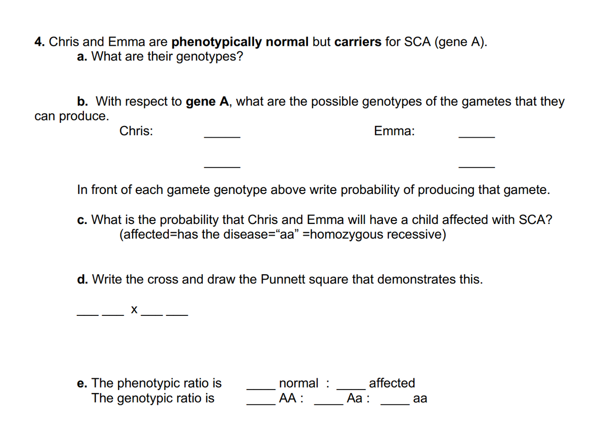 4. Chris and Emma are phenotypically normal but carriers for SCA (gene A).
a. What are their genotypes?
b. With respect to gene A, what are the possible genotypes of the gametes that they
can produce.
Chris:
Emma:
In front of each gamete genotype above write probability of producing that gamete.
c. What is the probability that Chris and Emma will have a child affected with SCA?
(affected=has the disease=“aa” =homozygous recessive)
d. Write the cross and draw the Punnett square that demonstrates this.
X
e. The phenotypic ratio is
The genotypic ratio is
normal
AA:
affected
Aa :
aa