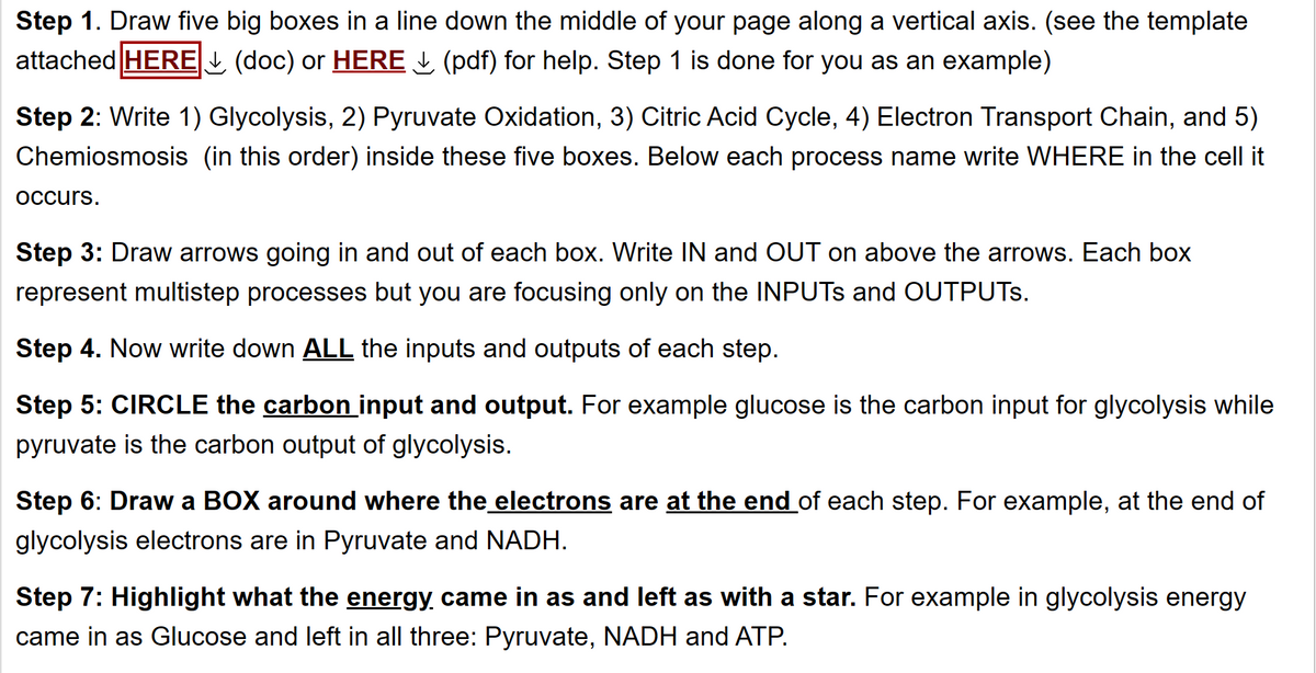 Step 1. Draw five big boxes in a line down the middle of your page along a vertical axis. (see the template
attached HERE (doc) or HERE (pdf) for help. Step 1 is done for you as an example)
Step 2: Write 1) Glycolysis, 2) Pyruvate Oxidation, 3) Citric Acid Cycle, 4) Electron Transport Chain, and 5)
Chemiosmosis (in this order) inside these five boxes. Below each process name write WHERE in the cell it
occurs.
Step 3: Draw arrows going in and out of each box. Write IN and OUT on above the arrows. Each box
represent multistep processes but you are focusing only on the INPUTS and OUTPUTS.
Step 4. Now write down ALL the inputs and outputs of each step.
Step 5: CIRCLE the carbon input and output. For example glucose is the carbon input for glycolysis while
pyruvate is the carbon output of glycolysis.
Step 6: Draw a BOX around where the electrons are at the end of each step. For example, at the end of
glycolysis electrons are in Pyruvate and NADH.
Step 7: Highlight what the energy came in as and left as with a star. For example in glycolysis energy
came in as Glucose and left in all three: Pyruvate, NADH and ATP.