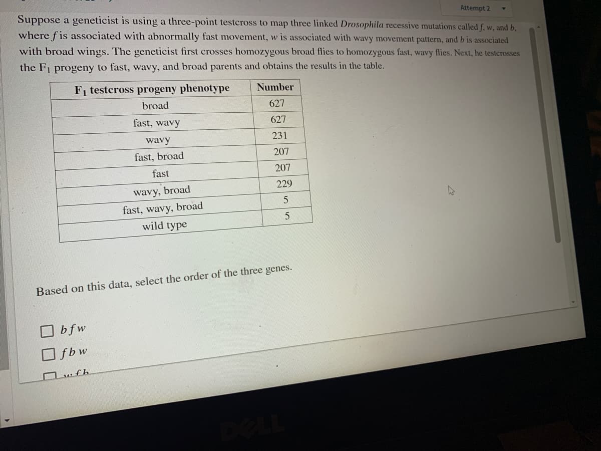 Attempt 2
Suppose a geneticist is using a three-point testeross to map three linked Drosophila recessive mutations called f, w, and b,
where fis associated with abnormally fast movement, w is associated with wavy movement pattern, and b is associated
with broad wings. The geneticist first crosses homozygous broad flies to homozygous fast, wavy flies. Next, he testerosses
the Fi progeny to fast, wavy, and broad parents and obtains the results in the table.
Fi testcross progeny phenotype
Number
broad
627
fast, wavy
627
wavy
231
fast, broad
207
fast
207
wavy, broad
fast, wavy, broad
229
wild type
Based on this data, select the order of the three genes.
bfw
O fb w
Owfh
