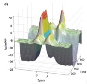 (b)
10
-10
-15
-20
800
600
-25
400
Time
200
Space
Activation
