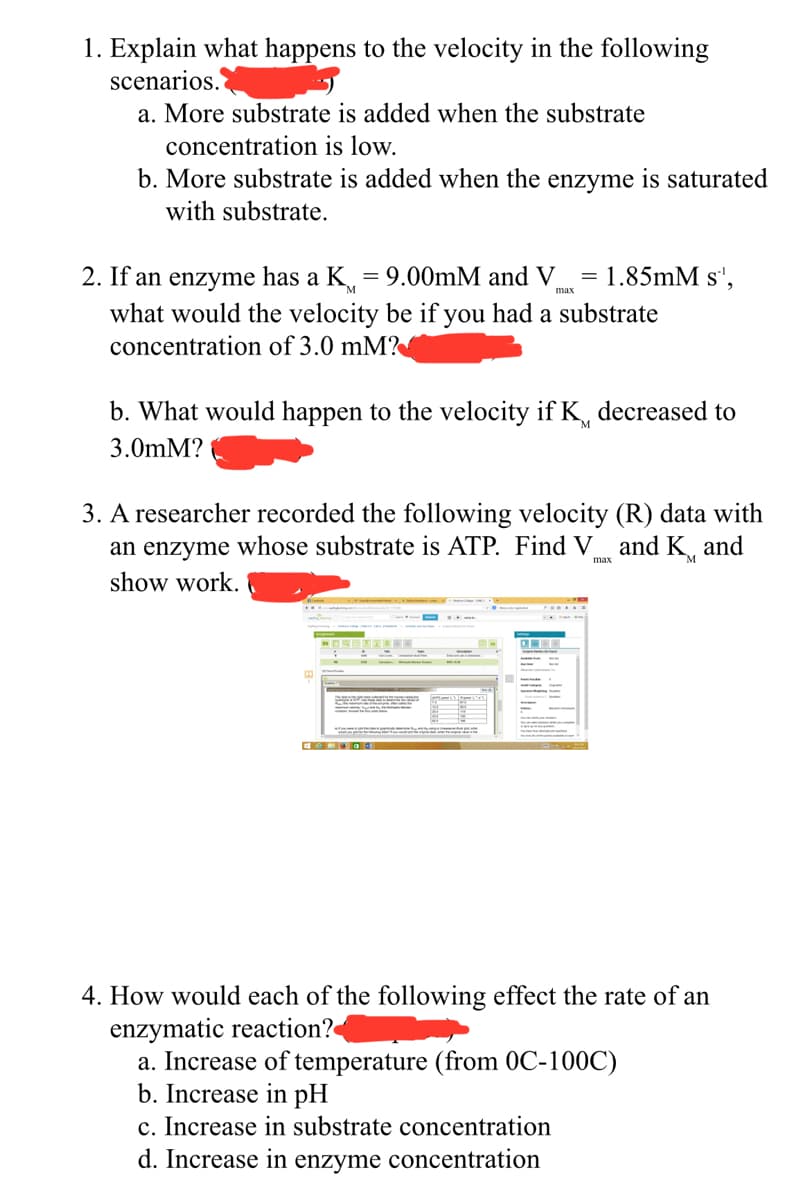 1. Explain what happens to the velocity in the following
scenarios.
a. More substrate is added when the substrate
concentration is low.
b. More substrate is added when the enzyme is saturated
with substrate.
max
2. If an enzyme has a K = 9.00mM and V = 1.85mM s',
what would the velocity be if you had a substrate
concentration of 3.0 mM?
b. What would happen to the velocity if K, decreased to
3.0mM?
3. A researcher recorded the following velocity (R) data with
an enzyme whose substrate is ATP. Find V and Kand
show work.
max
-
4. How would each of the following effect the rate of an
enzymatic reaction?
a. Increase of temperature (from 0C-100C)
b. Increase in pH
c. Increase in substrate concentration
d. Increase in enzyme concentration