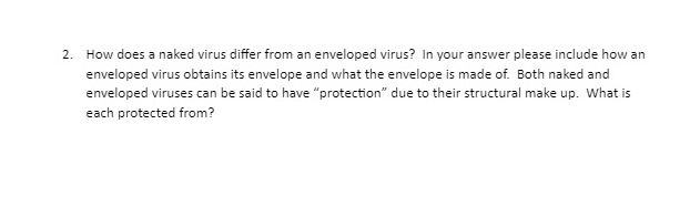 2. How does a naked virus differ from an enveloped virus? In your answer please include how an
enveloped virus obtains its envelope and what the envelope is made of. Both naked and
enveloped viruses can be said to have "protection" due to their structural make up. What is
each protected from?