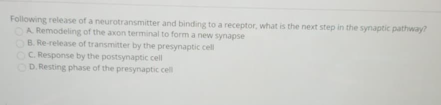 Following release of a neurotransmitter and binding to a receptor, what is the next step in the synaptic pathway?
OA Remodeling of the axon terminal to form a new synapse
O B. Re-release of transmitter by the presynaptic cell
OC. Response by the postsynaptic cell
O D. Resting phase of the presynaptic cell
