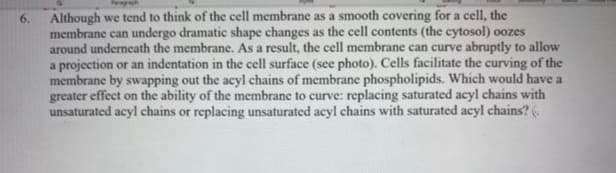 Although we tend to think of the cell membrane as a smooth covering for a cell, the
membrane can undergo dramatic shape changes as the cell contents (the cytosol) oozes
around underneath the membrane. As a result, the cell membrane can curve abruptly to allow
a projection or an indentation in the cell surface (see photo). Cells facilitate the curving of the
membrane by swapping out the acyl chains of membrane phospholipids. Which would have a
greater effect on the ability of the membrane to curve: replacing saturated acyl chains with
unsaturated acyl chains or replacing unsaturated acyl chains with saturated acyl chains? (.
6.
