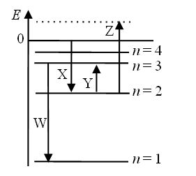 E
0
W
X
Y
Z
•n=4
n=3
-n=2
n=1