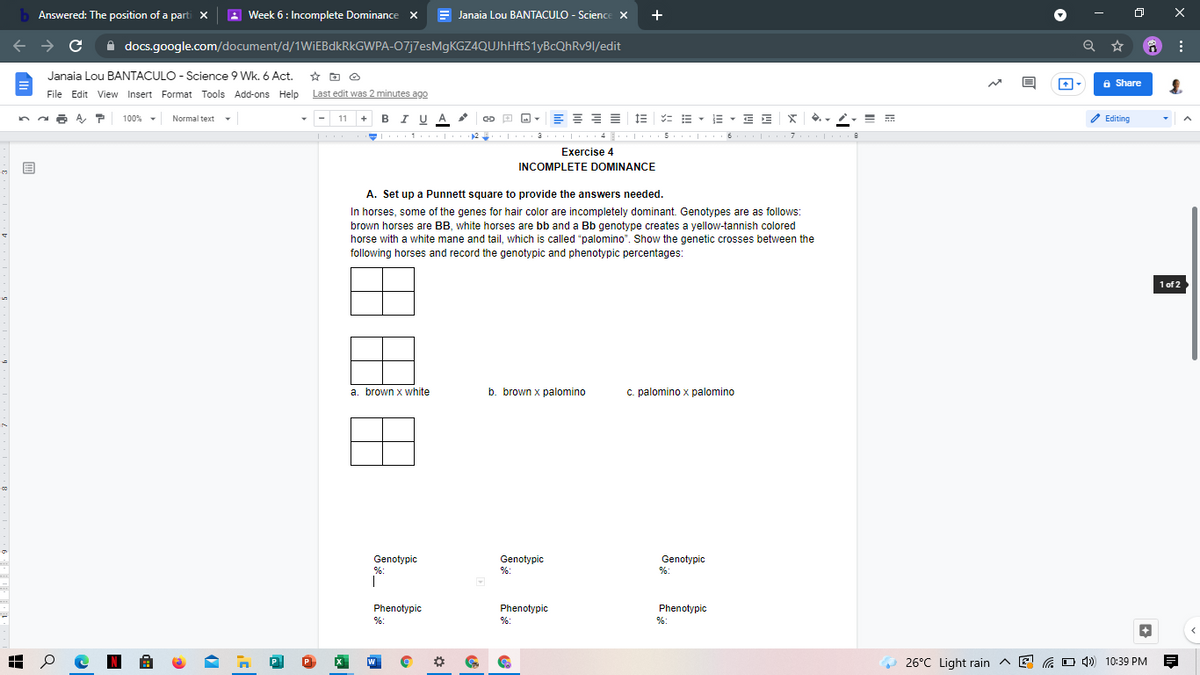 b Answered: The position of a parti x
A Week 6: Incomplete Dominance x
E Janaia Lou BANTACULO - Science X
+
A docs.google.com/document/d/1WIEBDKRKGWPA-07j7esMgKGZ4QUJhHftS1yBcQhRv91/edit
Janaia Lou BANTACULO - Science 9 Wk. 6 Act. * O o
File Edit View Insert Format Tools Add-ons Help Last edit was 2 minutes ago
6 Share
n a a A P 100% -
BI U A
E = = = E = E -
E - E E
O Editing
Normal text
-
11
2
4 E
5
Exercise 4
INCOMPLETE DOMINANCE
A. Set up a Punnett square to provide the answers needed.
In horses, some of the genes for hair color are incompletely dominant. Genotypes are as follows:
brown horses are BB, white horses are bb and a Bb genotype creates a yellow-tannish colored
horse with a white mane and tail, which is called "palomino". Show the genetic crosses between the
following horses and record the genotypic and phenotypic percentages:
1 of 2
a. brown x white
b. brown x palomino
c. palomino x palomino
Genotypic
Genotypic
%:
|
Genotypic
%:
%:
Phenotypic
Phenotypic
Phenotypic
%:
%:
26°C Light rain ^ E
G O 4) 10:39 PM
P
W
