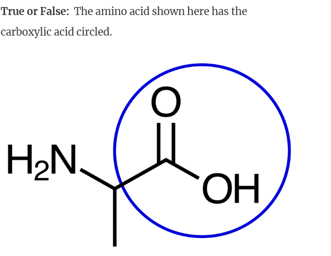 True or False: The amino acid shown here has the
carboxylic acid circled.
H₂N.
OH