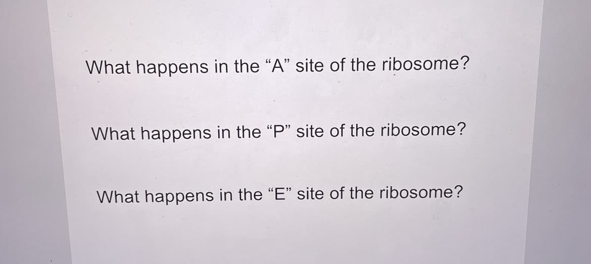 What happens in the "A" site of the ribosome?
What happens in the "P" site of the ribosome?
What happens in the "E" site of the ribosome?
