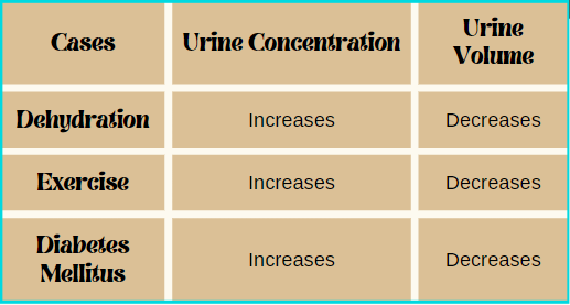 Urine
Volume
Cases
Urine Concentration
Dehydration
Increases
Decreases
Exercise
Increases
Decreases
Diabetes
Mellitus
Increases
Decreases

