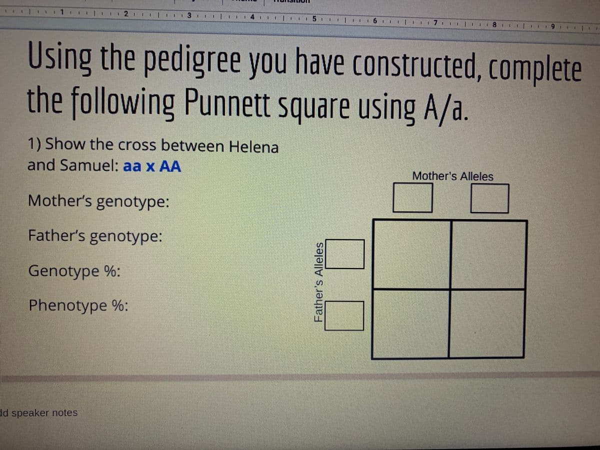 . 1 : *I
12 1
1.
131
14 111 l. 5
Using the pedigree you have constructed, complete
the following Punnett square using A/a.
1) Show the cross between Helena
and Samuel: aa x AA
Mother's Alleles
Mother's genotype:
Father's genotype:
Genotype %:
Phenotype %:
d speaker notes.
Father's Alleles
