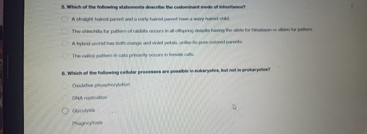 5. Which of the following statements describe the codominant mode of inheritance?
A straight haired parent and a curly-haired parent have a wavy haired child.
The chinchilla fur pattern of rabbits occurs in all offspring despite having the allele for himalayan or albino fur pattern.
A hybrid orchid has both orange and violet petals, unlike its pure-colored parents.
The calico pattern in cats primarily occurs in female cats.
000
6. Which of the following cellular processes are possible in eukaryotes, but not in prokaryotes?
Oxidative phosphorylation
DNA replication
O Glycolysis
Phagocytosis