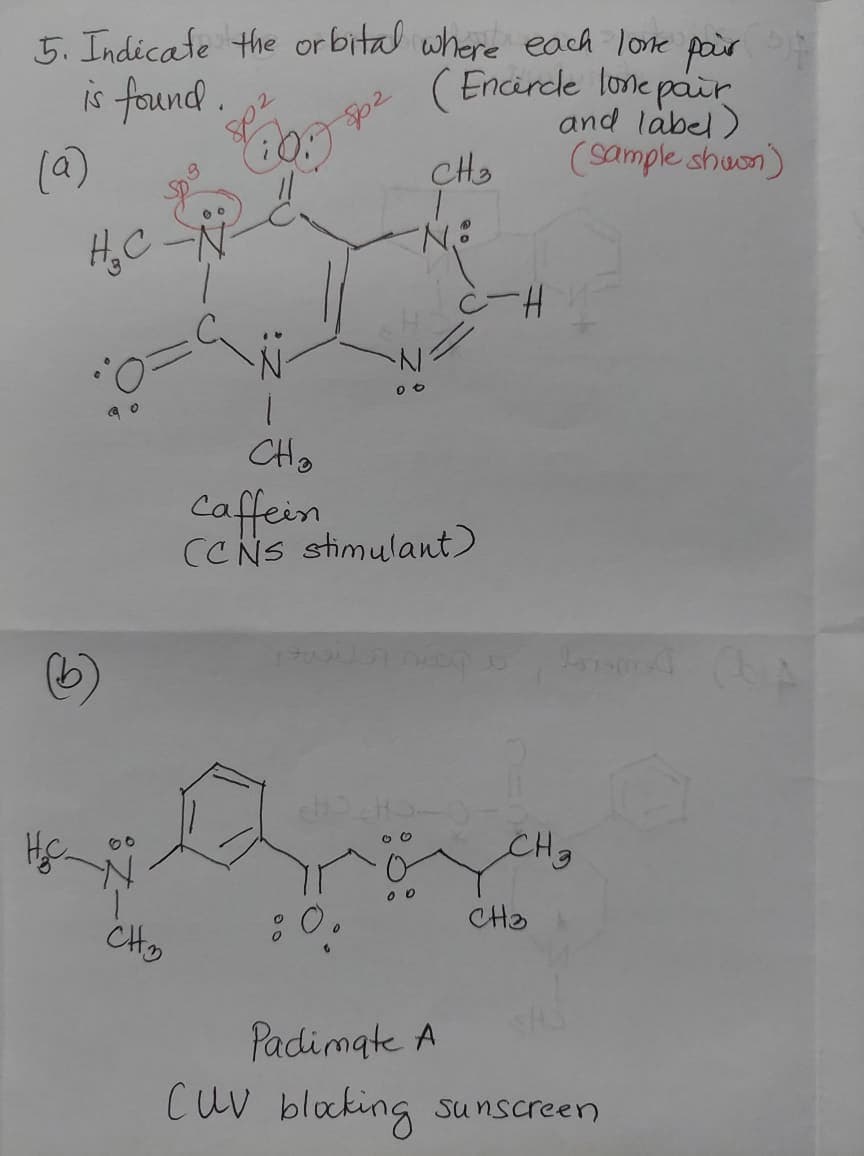 5. Indicate the orbital where each lone pair
( Encirdle lone pair
and label)
(sample shuon)
is found
(a)
CHa
H,C
CHo
Caffein
CCNS stimulant)
CH3
CHa
CHo
Padimate A
CuV blaking sunscreen
