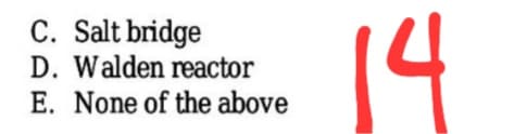 C. Salt bridge
D. Walden reactor
E. None of the above
4
