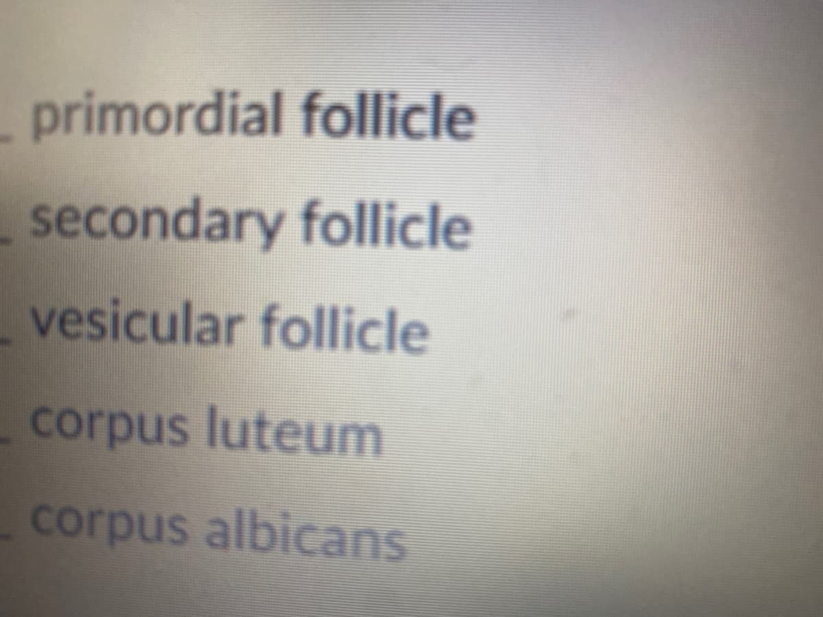 primordial follicle
secondary follicle
vesicular follicle
corpus luteum
corpus albicans
