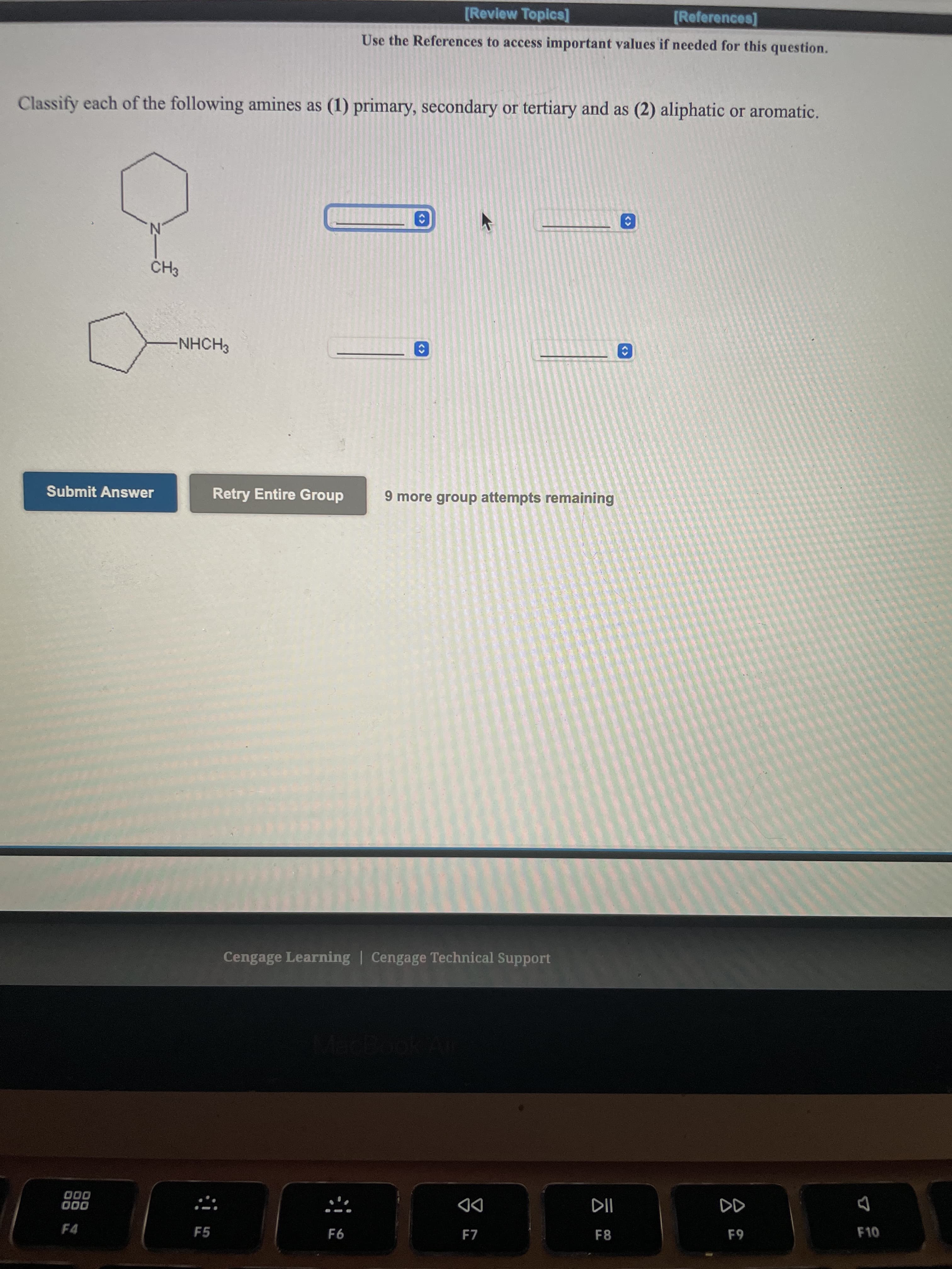 Classify each of the following amines as (1) primary, secondary or tertiary and as (2) aliphatic or aromatic.
N.
CH3
NHCH3
<>
<>
