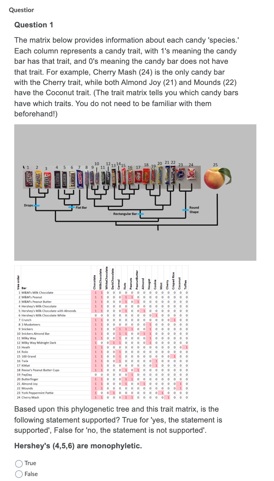 Question
Question 1
The matrix below provides information about each candy 'species.'
Each column represents a candy trait, with 1's meaning the candy
bar has that trait, and O's meaning the candy bar does not have
that trait. For example, Cherry Mash (24) is the only candy bar
with the Cherry trait, while both Almond Joy (21) and Mounds (22)
have the Coconut trait. (The trait matrix tells you which candy bars
have which traits. You do not need to be familiar with them
beforehand!)
10
12
8 9
11
20 21 22
2 3
18
19
23 24
25
4 5
7
16 17
Drops
Flat Bar
Round
Shape
Rectangular Bar
Bar
1 1 0 0 0 o 0 0 0 0 0 0 0 0 0 0
1 1 0 0 0 1 1 0 0 0 0 0 0 0 0 0
1 1 0 0 0 1 0 10 0 0 0 0 0 0 0
1 1 0 0 0 o 0 0 0 0 0 0 0 0 0 0
1 1 0 0 0 1 0 0 1 0 0 0 0 0 0 0
0 0 0 0 0 0 0 0 0 0 1 0 0 0 0 0
1 10 0 0 o o 0 0 0 0 o 0 1 0 0
110 0 0 0 0 0 0 10 0 0 0 0
1 1 0 0 1 1 1 0 0 1 0 0 0 0 0 0
1 1 0 0 11 0 0 1 10 0 o 0 0 0
110 0 1 0 0 0 0 1 0 o 0 0 0 0
10 0 1 1 0 o 0 0 1 0 o 0 0 0 0
110 0 0 00 0 0 0 00 0 0 01
1 10 0 1 00 0 0 0 0 0 0 0 0 0
1 1 0 0 1 0 o 0 0 0 0 o 0 1 0 0
1 10 0 1 0 0 0 0 0 1 0 0 0 0 0
1 10 0 0 0 0 0 0 0 1 0 0 0 0 0
1 10 0 0 1 0 10 0 00 0 0 0 0
0 0 0 0 00 10 0 0 0 0 0 0 0 0
1 M&M's Milk Chocolate
2 M&M's Peanut
3 M&M's Peanut Butter
4 Hershey's Milk Chocolate
5 Hershey's Milk Chocolate with Almonds
6 Hershey's Milk Chocolate White
7 Crunch
8 3 Musketeers
9 Snickers
10 Snickers Almond Bar
11 Milky Way
12 Milky Way Midnight Dark
13 Heath
14 Rolo
15 100 Grand
16 Twix
17 Kitkat
18 Reese's Peanut Butter Cups
19 PayDay
20 Butterfinger
21 Almond Joy
1 1 0 0 0 1 0 0 10 0 0 0 0 10
11 0 0 ο 0 0 0 0 0 0 0 ο 01 ο
10 0 1 0 o o 0 0 0 0 1 0 0 0 0
1 1 0 0 0 1 1 0 0 0 0 0 1 0 0 0
22 Mounds
23 York Peppermint Pattie
24 Cherry Mash
Based upon this phylogenetic tree and this trait matrix, is the
following statement supported? True for 'yes, the statement is
supported', False for 'no, the statement is not supported'.
Hershey's (4,5,6) are monophyletic.
True
False
00
MilkChocolate
WhiteChocolate
DarkChocolate
Crisped Rice
