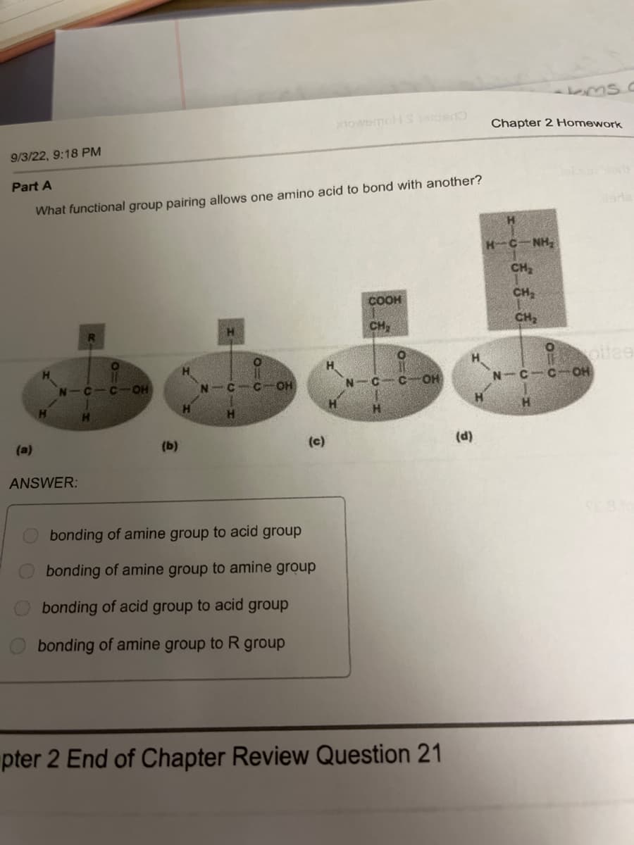 9/3/22, 9:18 PM
Part A
What functional group pairing allows one amino acid to bond with another?
(a)
N
ANSWER:
R
CIC OH
(b)
N
H
C
C
OH
(c)
nowemoH Seiden
bonding of amine group to acid group
bonding of amine group to amine group
bonding of acid group to acid group
bonding of amine group to R group
COOH
CH₂
N C
H
O
COH
pter 2 End of Chapter Review Question 21
Chapter 2 Homework
HCNH,
CH₂
CH₂
CH₂
MS C
N C
C OH
ottae