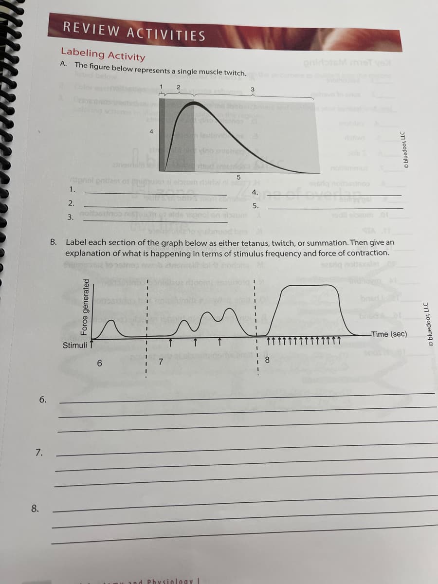 6.
7.
8.
REVIEW ACTIVITIES
Labeling Activity
A. The figure below represents a single muscle twitch.
listed below.
Detox
3.
ring scheme
amemalin S
and ended
5
rignal pritzen of onimuter ai sbaum ribiriw ni om
1.
il 5,
2.
Džily's most zbr
spnol on abzum
nolfpor
Force generated
Stimuli
4
6
I
och vino
Boyum laubivib
stilo vino
7
B. Label each section of the graph below as either tetanus, twitch, or summation. Then give an
explanation of what is happening in terms of stimulus frequency and force of contraction.
potse to step wob
azerią nottexsler op
3
and Physiology I
4.
5.
enidotsM met ys
8
gehevo to snoS
_
brisd
Ⓒbluedoor, LLC
-Time (sec)
Ⓒbluedoor, LLC